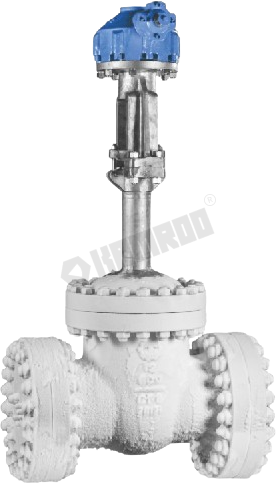 Cryogenic Gate Valve