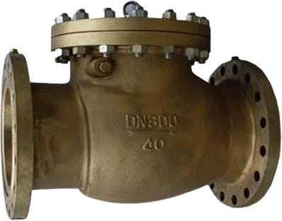 Oxygen Swing Check Valve