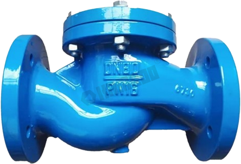 Lift Check Valve