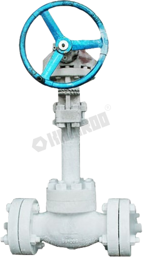 Cryogenic Globe Valve