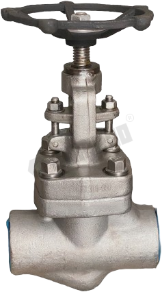 Forged Globe Valve