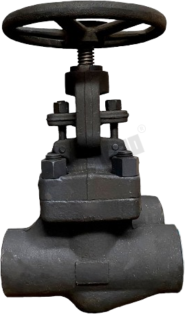 Forged Globe Valve