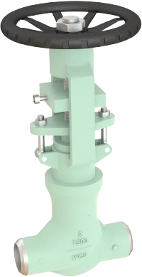 Bolted Bonnet Globe Valve