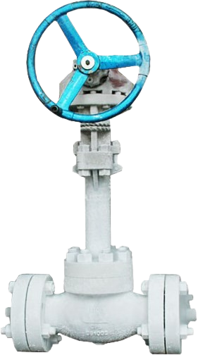 Cryogenic Globe Valve