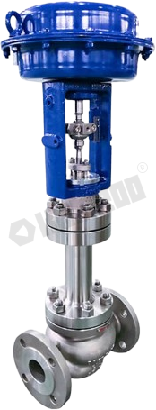 Single seat control valve