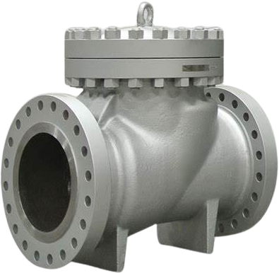 Swing Check Valve