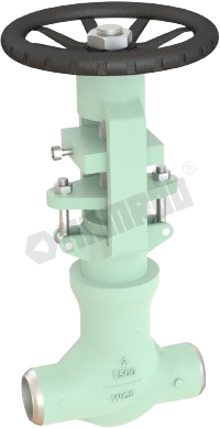 Bolted Bonnet Globe Valve