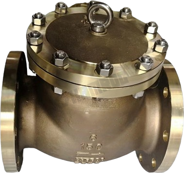 Oxygen Swing Check Valve