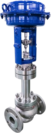 Single seat control valve