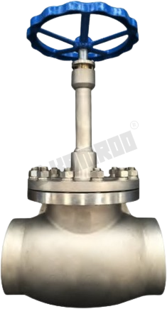 Cryogenic Globe Valve