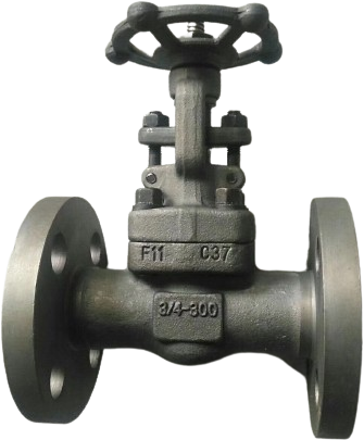 Forged Gate Valve