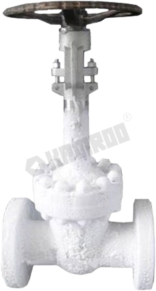 Cryogenic Gate Valve