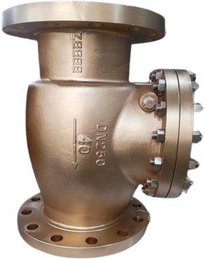 Oxygen Swing Check Valve